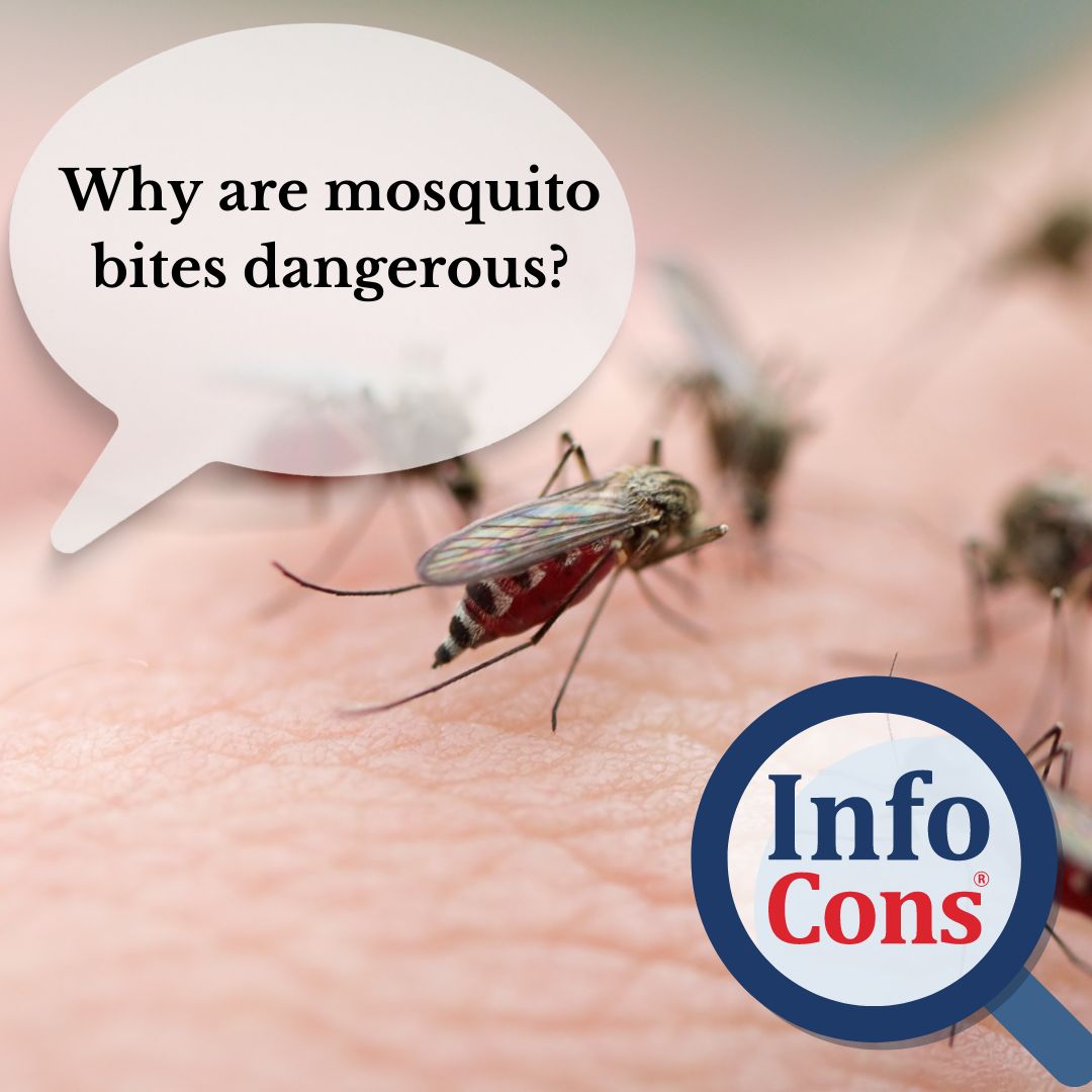 Why Are Mosquito Bites Dangerous? InfoCons