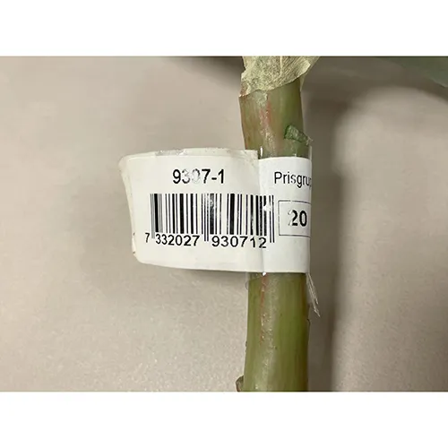 PVC flower on a stem. Product sold online.