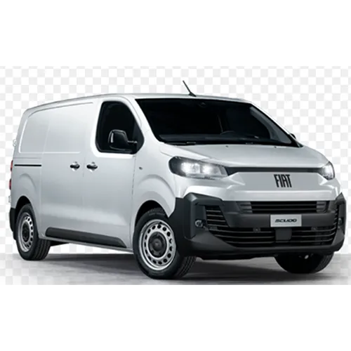 Fiat - Passenger van / Light commercial vehicle