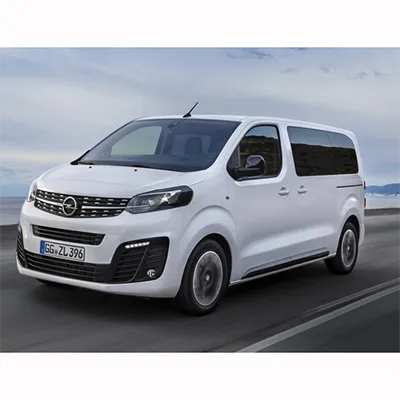 Opel - Passenger car / Light commercial vehicle