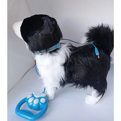 A black and white dog on a blue plastic leash. The toy has soft, stuffed head and a hard body. It has a collar with a metal bell on the neck, and a battery box with three AA 1.5 V batteries.