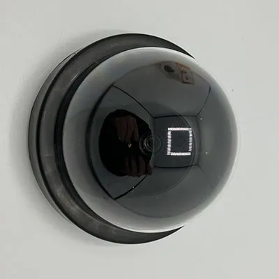 Bulbous plastic contraption fitted with basic electronics intended to imitate a security camera.