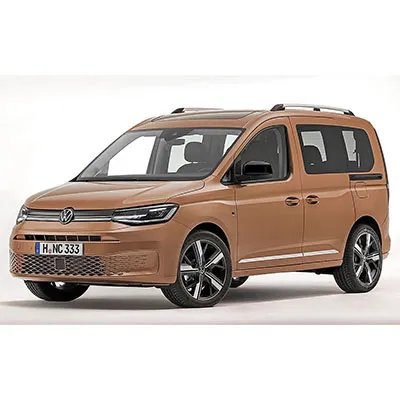 VW - Passenger car / Light commercial vehicle.