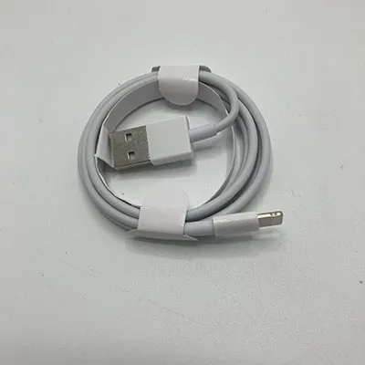 White USB lighting cable.