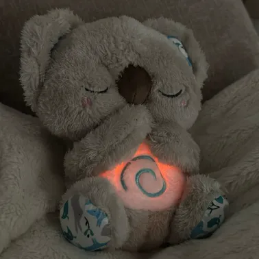 Battery-operated plush koala with light and sound functions. Product sold online at several different drop shipping sites and marketplaces.