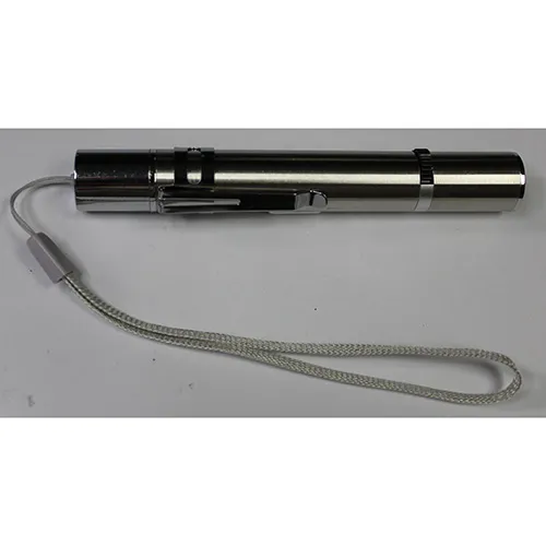 Metallic laser pointer intended for cats and dogs. Product sold online in particular via miravia.es.