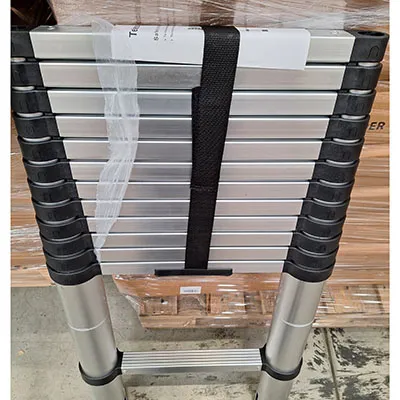 InfoCons Consumer Protection Alert: TEEMZA - Telescopic ladder