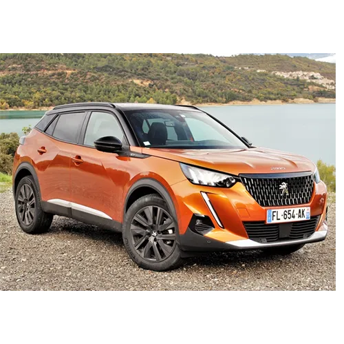 Peugeot - Passenger car / Light commercial vehicle