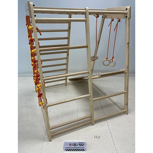 RINAGYM - Climbing frame