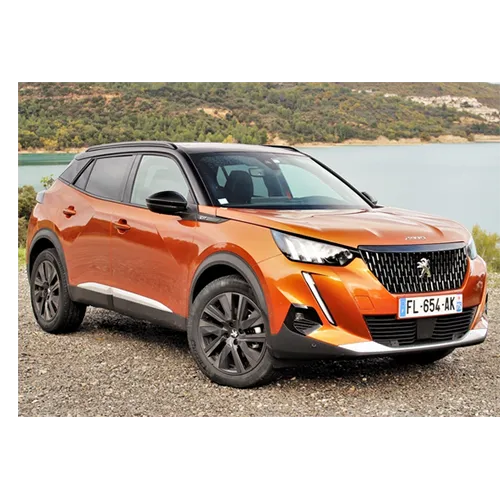 Peugeot - Passenger car / Light commercial vehicle