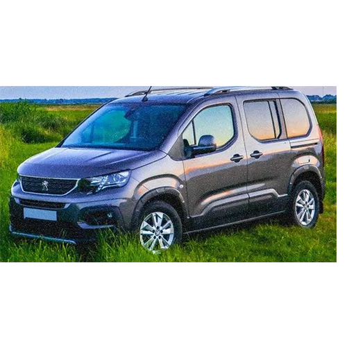 Peugeot - Passenger car / Light commercial vehicle