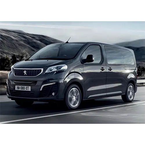 Peugeot - Passenger car / Light commercial vehicle