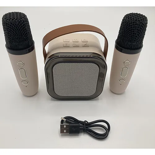 Colorful karaoke sound system - Karaoke set