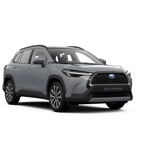 Lexus, Toyota - Passenger van / Light commercial vehicle