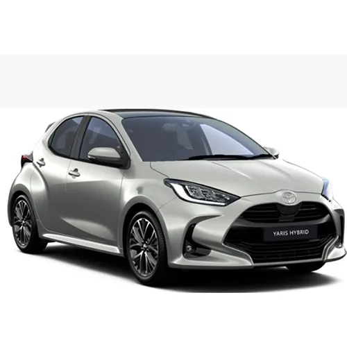 Lexus, Toyota - Passenger van / Light commercial vehicle