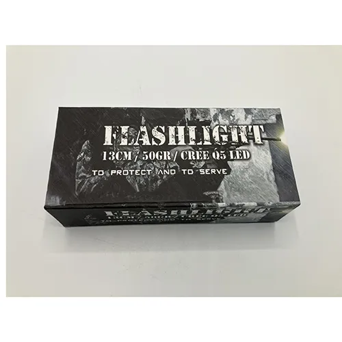 101 Inc. - Flashlight