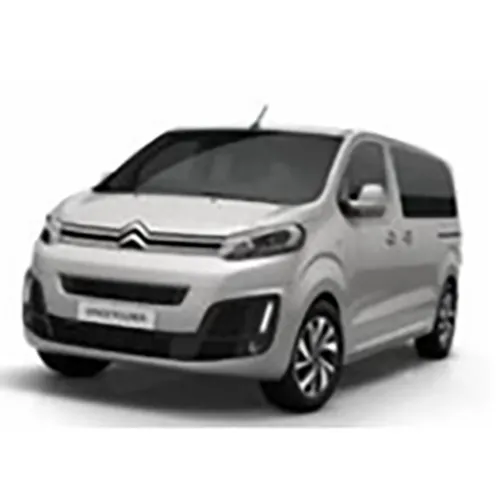 CITROEN - Passenger van / Light commercial vehicle