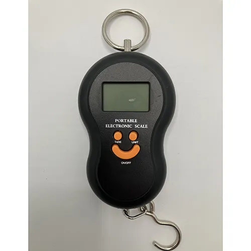 Ryom Digital - Scale