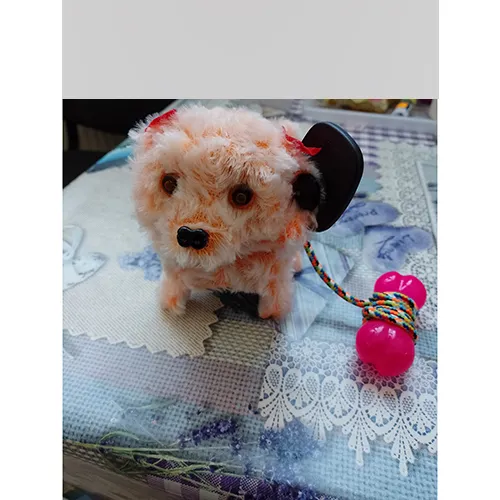 Plush toy in the shape of a dog, sold in various colours with red bows attached to the toy's ears and a rubber band with a bell attached around the dog's neck, and a coloured leash ending in a plastic bone. The toy is battery-operated with 2 AA batteries.
