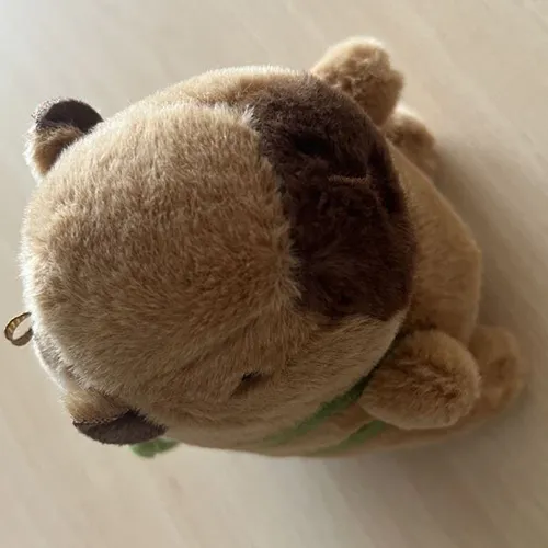 Keyring with a soft toy in the shape of a brown capybara with a green textile backpack. Product sold online, in particular via Amazon (ASIN: B0CP6VKLGP).