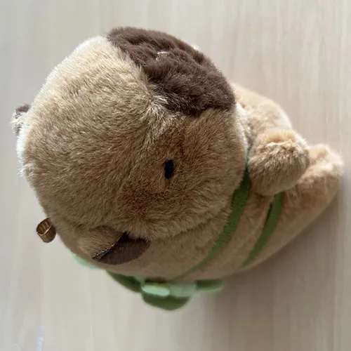 Keyring with a soft toy in the shape of a brown capybara with a green textile backpack. Product sold online, in particular via Amazon (ASIN: B0CP6VKLGP).
