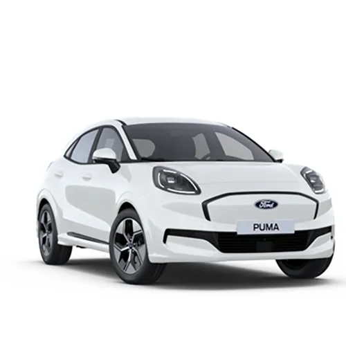 Ford - Passenger car/ Light commercial vehicle