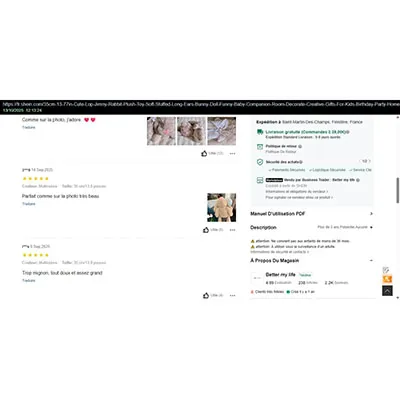 Soft toy in the shape of a rabbit. Product sold online, in particular via Shein (product identifier: sl25070305599960557).