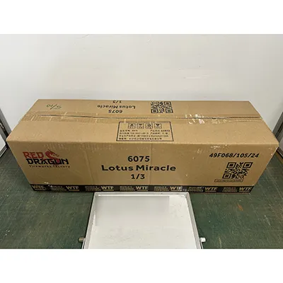 Fireworks International B.V. - Fireworks