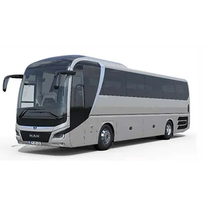 MAN/Neoplan, Man - Lorry / bus