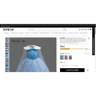 Shein - Fancy-dress costume