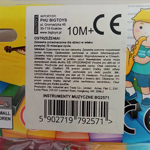 BIGTOYS - Musical toy set