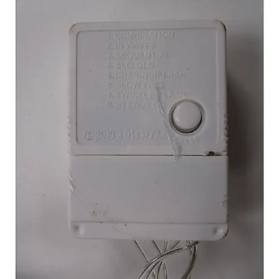 Lighting chain consisting of 100 LED lights.