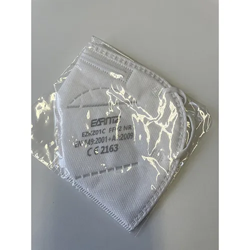 EARNTZ - Particle filter mask