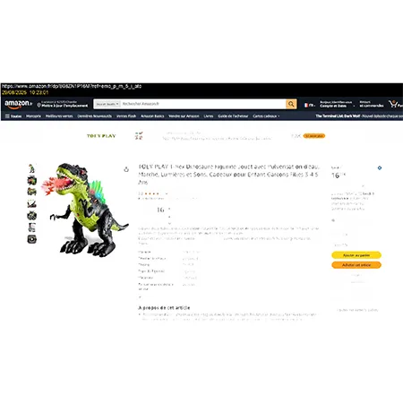 An electronic toy in the form of a Tyrannosaurus. The toy is battery-powered and can walk and breathe out white smoke. LEDs on the dinosaur's back and mouth light up. Product sold online, in particular via Amazon (ASIN: B08ZN1P16M, SKU: X001C8X6YT)
