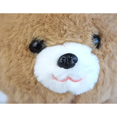 Brown soft toy in the shape of a dog with a rattle around the neck.