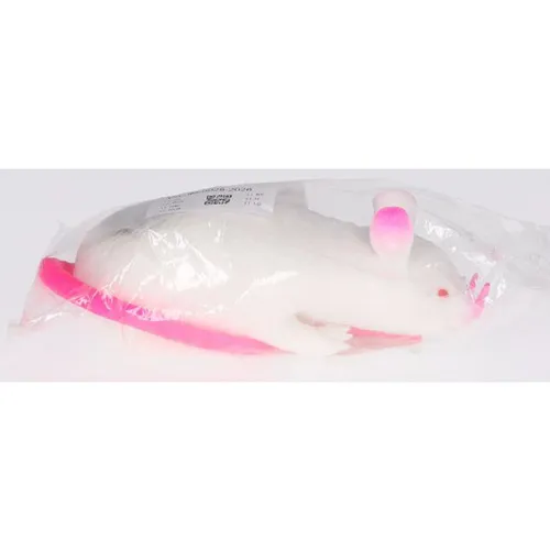 Toy made of stretchy plastic in the shape of a mouse, filled with sand.