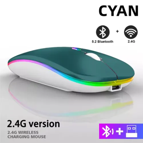 Rechargeable Bluetooth wireless mouse delivered with a USB cable.