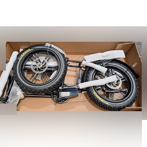 Allegro - Electric bicycle