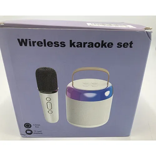 Karaoke set delivered with microphones and cables.