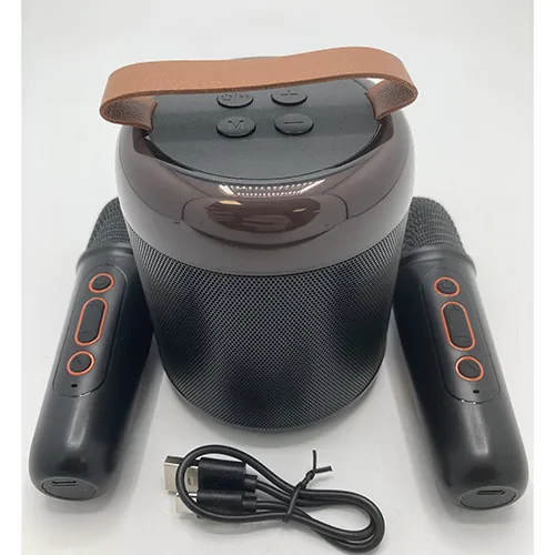 Karaoke set delivered with microphones and cables.