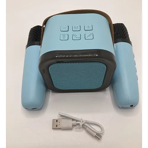 Karaoke set with two wireless microphones and an USB cable.