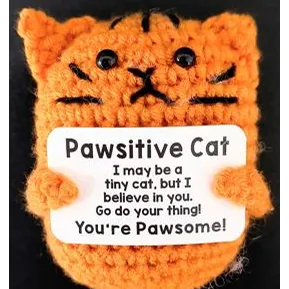 Soft crocheted toy in the shape of a cat figure with plastic eyes, holding a plastic card. Card reads “Pawsitive Cat - I may be a tiny cat, but I believe in you. Go do your thing! You’re Pawsome!”.