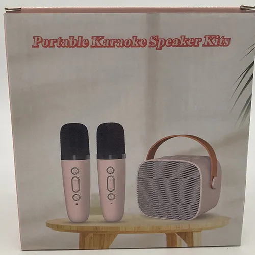 Karaoke set with two wireless microphones and a USB cable.