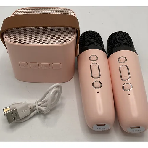 Karaoke set with two wireless microphones and a USB cable.
