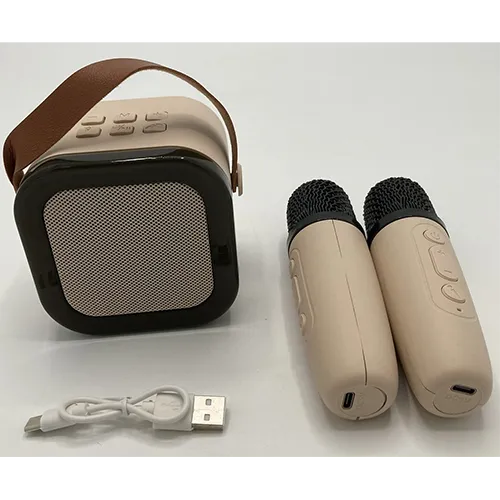 AFF IMPORT - Karaoke machine