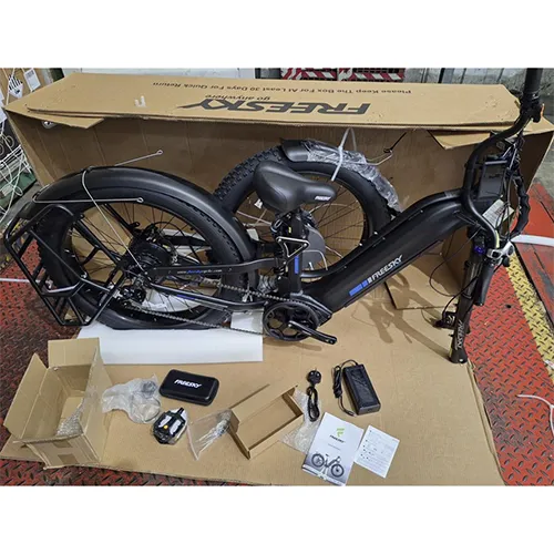 FREESKY - Electric bicycle