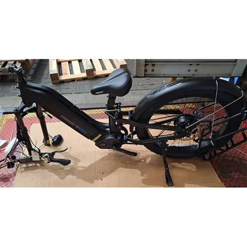 FREESKY - Electric bicycle