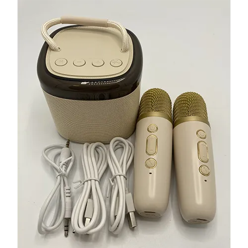 Voice for love - Portable karaoke machine